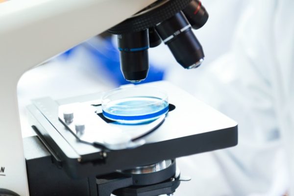 Badania laboratoryjne